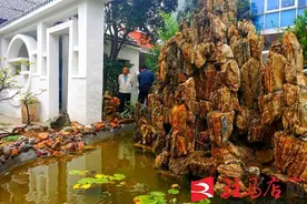 泌阳：“石头小院”引客来图片