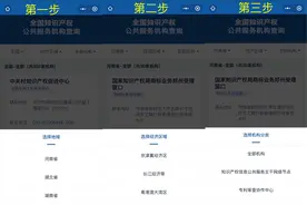 咨询、注册、维权时咋找最近的知识产权公共服务机构？看这里图片