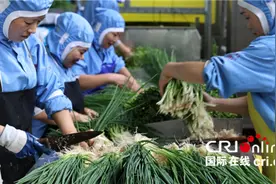仲景食品匠心研酱再现老上海经典风味图片