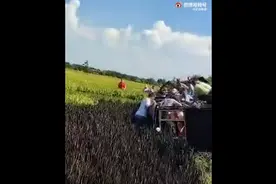 沈阳市沈北新区一景区观光小火车发生侧翻，2名游客受轻微擦伤图片