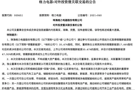 格力电器斥资18亿收购银隆 董明珠给自己解套还债还是多元化发展？图片
