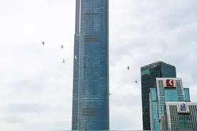 多图预警！落霞与鹭鸟齐飞，广州城市中央藏着“小鸟之家”图片