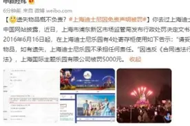 点评｜迪士尼被罚，“概不负责”岂能随意免责图片