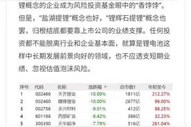 锂业双巨头惊现跌停，新能源炒作要熄火？图片