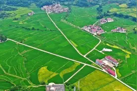 吉安6条旅游快速通道将获改造提升！以后去这些景区更方便！图片