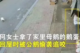 9月2日 | 新早读！腾讯视频爱奇艺都改了图片