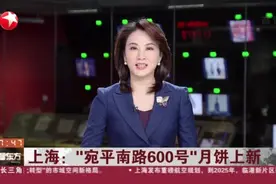 上海：“宛平南路600号”月饼上新视频封面