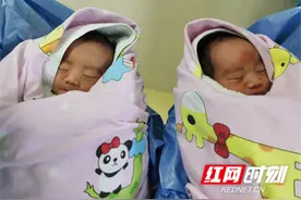 永州市首例夫精人工授精龙凤胎出生 辅助生殖技术开启新纪元图片