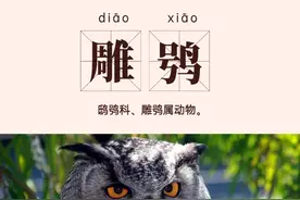 看《云南虫谷》学语文，这些生物名字你会读吗？有些还是国家保护动物哦图片