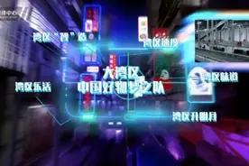 「财经翻译官」“猴赛雷”！粤港澳大湾区购物节看花眼图片