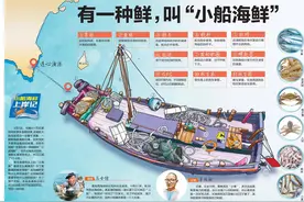 小船海鲜上岸记｜一人一扁舟 一网一海鲜！记者7小时见证海鲜从捕捞到上岸全过程图片