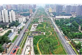 一座城市的“幸福林带”图片