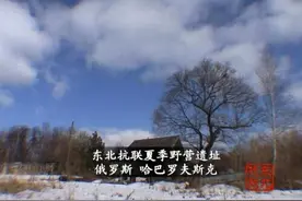 二战绝密档案公布 8名抗联战士曾获苏联最高荣誉图片
