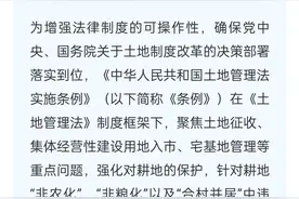 宅基地新规、申请、建房、转让...你想知道的都在这里→图片