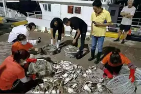 “幸福开海”捕蟹忙 探访青岛本地螃蟹上岸过程图片