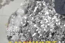 网传河北一老板用8万枚一毛硬币发工资，律师：如属实，不违法但不道德图片