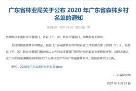茂名38个村入选2020年广东省森林乡村名单！有你的家乡吗？图片