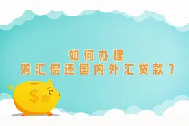 中国农业银行湖南省分行教你货贸项下便利化购汇视频封面