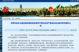 济南市城乡交通运输局原副局级领导干部张金龙被开除党籍和公职图片