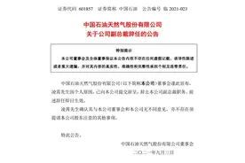 中国石油：因个人原因，凌霄辞任副总裁图片