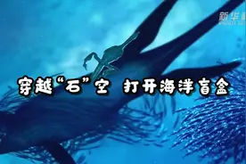 远古发现丨穿越“石”空打开贵州史前海洋“盲盒”，都有啥？图片