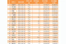 比持有2.2亿余额宝更“壕”的来了！这5位个人投资者持基金额均超2.3亿，最多的持有达7.4亿元图片