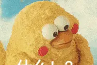 涨！涨！涨！就在今晚图片