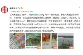 大闸蟹还没“出水”，蟹券销售火热图片