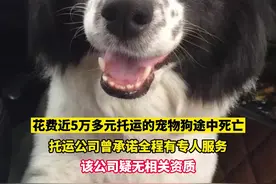 花费近5万多元托运的宠物狗途中死亡，涉事公司疑无相关资质图片