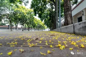 松金公路改造完成，美成风景图片