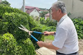 16年！崇明七旬老伯做属于自己的造型艺术图片