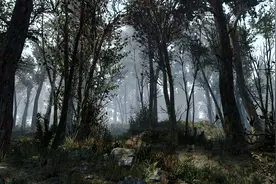 绿意盎然《辐射4》森林MOD为游戏添加18000棵树木图片
