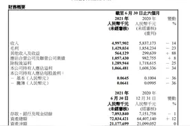 半年报解读丨金地商置：扩储发力产业 低成本融资驱动毛利高增长图片