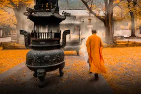 别爱太满，别睡太晚：寺庙的流量密码与新媒体生意经图片