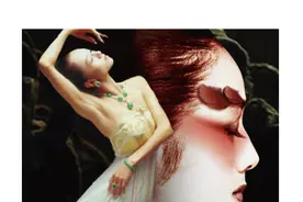 杨丽萍家的基因真绝图片