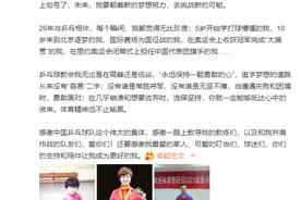 中国乒乓球名将丁宁宣布退役：运动员生涯就要画上句号图片