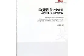 「书讯」空间视角的中小企业发展环境比较研究图片