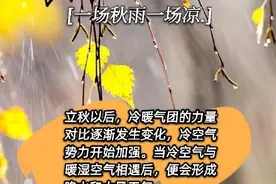 为什么“一场秋雨一场凉？图片