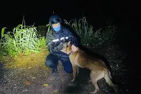 “金三”牺牲了，铁汉子战友哭得像个孩子……图片