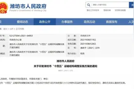 最新！潍坊机场迁建重要消息图片
