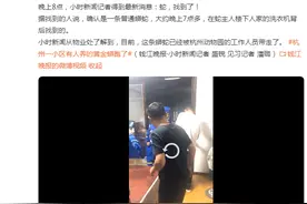 杭州这个小区业主提心吊胆一整天，出逃的蟒蛇总算找到了！已被送往杭州市动物园图片
