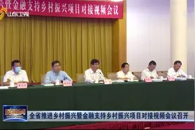 山东：全省推进乡村振兴暨金融支持乡村振兴项目对接视频会议召开视频封面