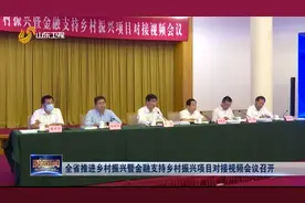 山东：全省推进乡村振兴暨金融支持乡村振兴项目对接视频会议召开视频封面