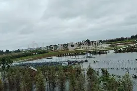 多雨会不会成中原常态？河南会恢复成唐朝能养大象的气候吗？图片