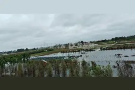 多雨会不会成中原常态？河南会恢复成唐朝能养大象的气候吗？图片