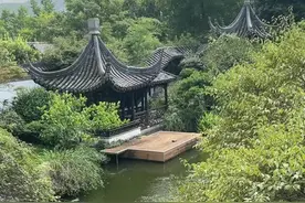 1.65亿的别墅流拍！院子里300年红豆杉+上百条锦鲤，像把苏州园林搬进家里视频封面