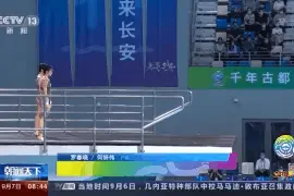 全运会多项赛事陆续展开 全红婵“水花消失术”再上演图片