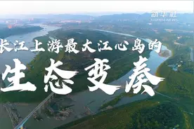 一座岛就这样回归自然——长江上游最大江心岛的生态变奏视频封面