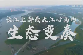 一座岛就这样回归自然——长江上游最大江心岛的生态变奏图片