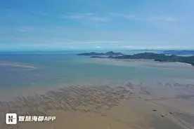 秋意渐浓白露至 村民赶海挖蛏忙图片